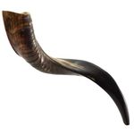 ProShofar Israel Shofar Set, Natural Kudu Horn Shofar, Kosher Shofar Yemenite Traditional Musical Instrument for Jewish Spiritual Ceremonies and Religious Sermons, Made in Israel