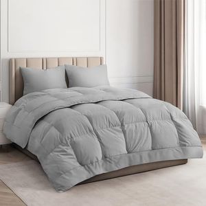 Twin Size,