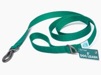 Embark Adventure Dog Leashes - Colorful, Strong, and Sturdy Dog Leash for Small, Medium, and Large Breed Dogs (Green, 5 Ft)