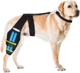 Dog Knee Brace for Torn ACL Hind Le