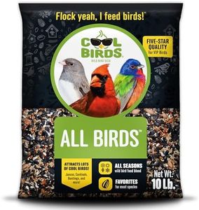 Cool Birds