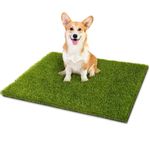 CooRug Artificial Grass, 30 x 18 Inches Realistic Fake Grass for Dogs, Turf Grass Rug with Drainage Holes for Pee Pads Door Mat Outdoor Indoor Home Garden Decoration