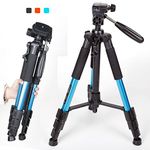 Zomei Q111 55-inch Compact Flexible Camera Tripod 4s Stand with 1/4 Mount 3-Way PanHead for All Canon Sony Nikon Samsung Panasonic Olympus Kodak Fuji Digital Cameras And Camcorders Blue