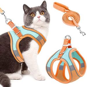 Qpets® Cat