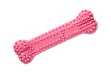 Nylabone Gentle Puppy Teething Dental Chew Toy Bone with Nubs & Ridges, Chicken Flavour, Pink, XS, for Puppies Up to 7 kg