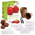 Exotic Fruit Seed Growing Kit Gift Box Grow Your Own Fruit Kit - 5 Flavours to Grow by Thompson & Morgan