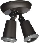 Nuvo Two Light Outdoor Flood Light 