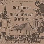 The Black Church in the African American Experience