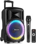 Fenton FT12LED MK2 12" Portable PA 