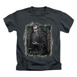 The Hobbit Desolation of Smaug Movie Gandalf with Pipe Little Boys T-Shirt Tee