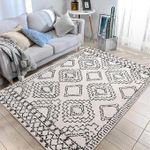 Leesentec Moroccan Area Rugs Living