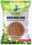 SRI SAI FORESTRY Alfalfa Seeds, Lucerne Grass Seeds, Medicago Sativa High Protein Grass Seeds for Sprouting and Cultivation - 250 Gram