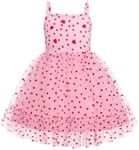 Arshiner Baby Girls Tulle Dress Pink Heart Tutu Party Princess Dresses Formal Photo Shoot Outfit Spring Clothes 2t