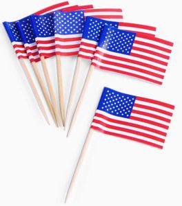 PMU Patriotic American Flag Toothpicks, 4th of July Decorations, Patriotic Party Tableware for Holidays, Decoration, Veterans, Election & Independence Day, (50/Pkg) Pkg/3
