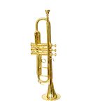 YORBAX® Bb Trumpet with Mouthpiece and Hard Case (BRASS POLISH)