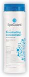 SpaGuard Brominating Concentrate - 