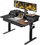 ErGear Electric Standing Desk with Drawers, 48" x 30" Height Adjustable Desk with Storage, 4 Memory Preset Computer Home Office Desk with Cable Management Tray, Black