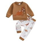 Geagodelia Baby Boy Clothes Outfits Fall Winter Dinosaur Print Tracksuit Long Sleeve Sweatshirt Trouser Sets (B Auburn, 0-6 Months)