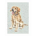 Wrendale Designs Greeting Card - GOLDEN RETRIEVER (Alfie)