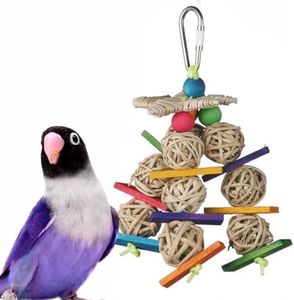 Super Bird Creations Bird Toy