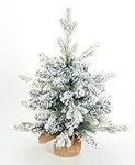 Diahom Tabletop Christmas Tree Arti