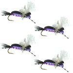 The Fly Fishing Place Hippie Stomper Black Purple Foam Body Trout Bass Dry Fly Fishing Flies - Set of 4 Hook Size 10