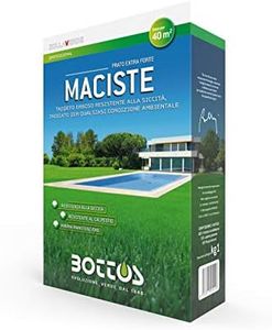 Maciste - 