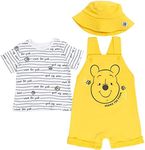 Disney Winnie the Pooh Baby Boys 3 