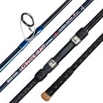 BERRYPRO Surf Spinning Rod Full Carbon Surf Fishing Rod with Fuji SIC Ring (9'/10'/11'/12') (12'-Spinning-2pc)