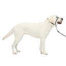 PetSafe Gentle Leader No-Pull Dog Headcollar - The Ultimate Solution to Pulling - Redirects Your Dog's Pulling For Easier Walks - Helps You Regain Control - Large, Black