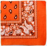 Kaiser Novelty Bandanas Paisley Cot