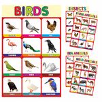 Fonax Early Learning Posters for Kids Preschool Includes Birds, Insects, Wild Animals, Sea Animals and Farm Animals (5 Posters Set) Paper Print (18 inch X 12 inch, Rolled)