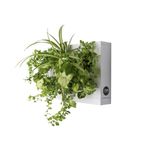 Ortisgreen HOH, Indoor and Outdoor Wall Mount Hanging Multi Plant Pot In White (ABS Plastic) with Natural Substrate and Instruction Included, Hanging Garden Wall Planter