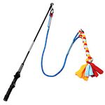 Tether Pole For Dogs