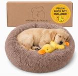 Whiskers & Friends Small Dog Bed Washable, Fluffy Orthopedic Dog Bed Small, Puppy Calming Beds, Large Cat Beds for Indoor Cats - Perfect for Pets Under 25 Pounds - Camel