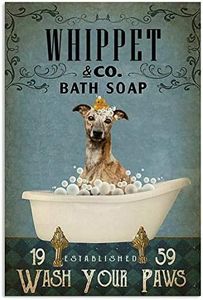 Whippet Wash Your Paws for Bagno Regalo per Famiglie E Amici Poster Targa in Metallo 20,3 x 30,5 cm
