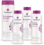 SpaGuard Balancer Bundle (pH Decrea