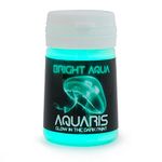 Aquaris Glow in the Dark Paint (20ml) Bright Aqua Glow (Light Blue/Turquoise), Non-Toxic, Water Based, by SpaceBeams