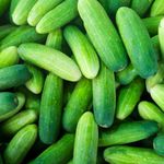 Agrey Cucumber Vegetable Seeds (Green, Pack of 50 Seeds)