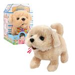 Liberty Imports Plush Golden Retriever Toy Puppy Electronic Interactive Pet Dog - Walking, Barking, Tail Wagging, Stretching Companion Animal for Kids