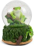 Playful Tree Frog Figurine 100MM Water Globe Plays Tune Beautiful Dreamer