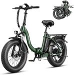 Heybike Electric Bike for Adults, R