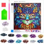 Diamond Painting Kits Gifts for Girls Age 8 9 10 11, Kids Paint by Number for Girls Toys Age 7 8 9 10 Years Arts and Crafts Sets for Kids Ages 8-12 Girls Xmas Gift, Diamond Painting Kits