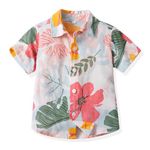 Sanqidu Toddler Baby Boy Floral Button Down Shirts Hawaiian Tropical Short Sleeve Tops Aloha Holiday Beach Wear Clothing (A, 18-24 Months)