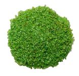 OhhSome [5KG] Sugar Sand Gravel Green Stone Pebbles for Aquarium Fish Tank Garden & Home Decor