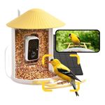 Netvue by Birdfy Smart Bird Feeder with Camera, Bird Camera Auto Identify, Capture, Alerts, Organize & Highlight Fun Clips, Birdwatch Recap | Bird Feeder Camera | Mangeoire Oiseaux Exterieur