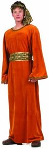 RG Costumes Men's Wiseman, Brown, One Size