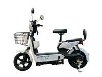 Electric Moped for Adults | 25Ah Lithium Ion Battery | Upto 80 Kms Range | Powerful 550 watt Motor (White) I 40 kmph top Speed