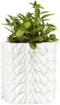 Dragon Scales Planter Pot & Vase Decanter - GOT, Fantasy I Plant and I Know Things - White Marble Color 6" Flower Plant Vase - Dragón Monster Cylindrical for House & Indoor Plants Year of The Dragon