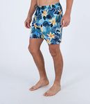 Hurley Mens Bathing Suits